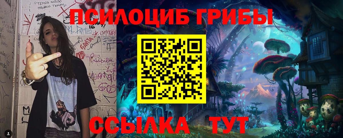 Сорочинск  Галлюциногенные грибы Psilocybe  Псилоцибиновые грибы мицелий  Вход с VPN 