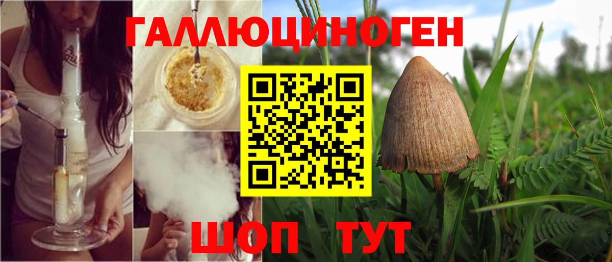 Псилоцибиновые грибы Psilocybine cubensis Сорочинск